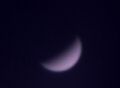 Venus15.04.04.15.00.jpg