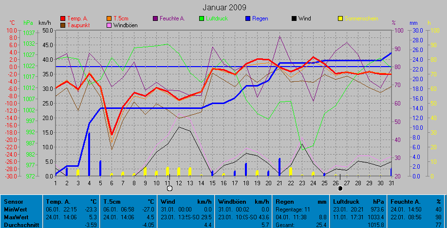 Grafik Monat Januar 2009
