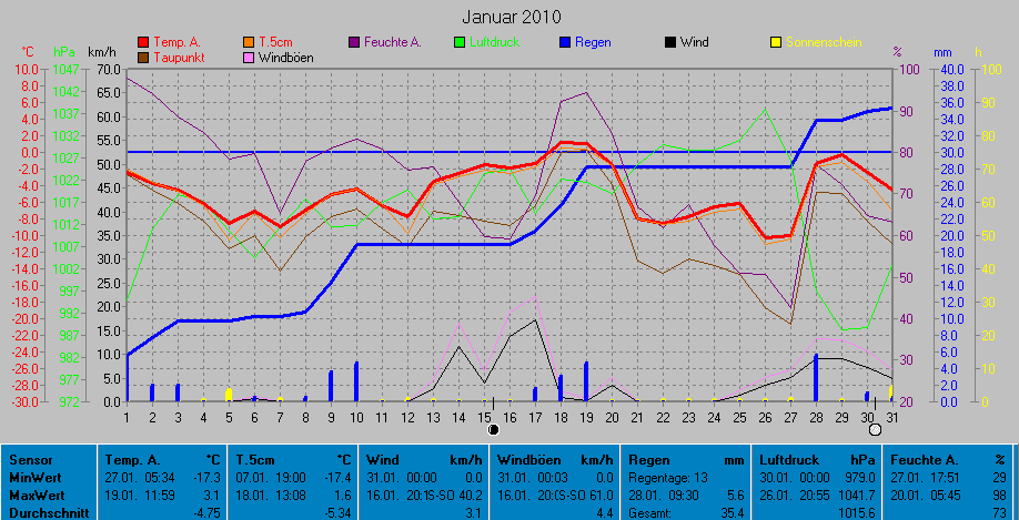 Grafik Monat Januar 2010