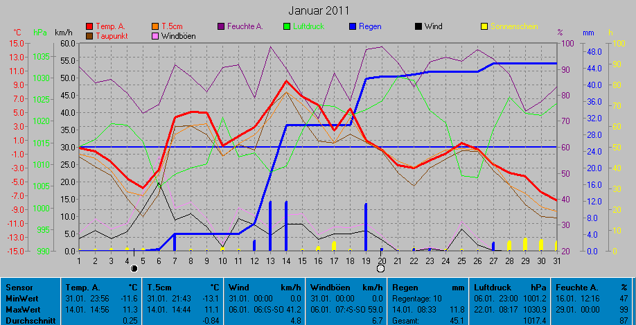 Grafik Monat Januar 2011