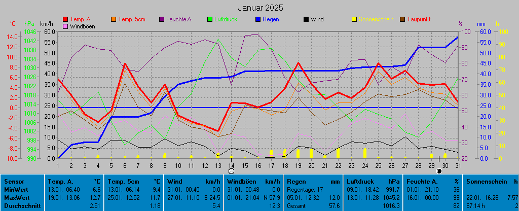 Grafik Monat Januar 2025