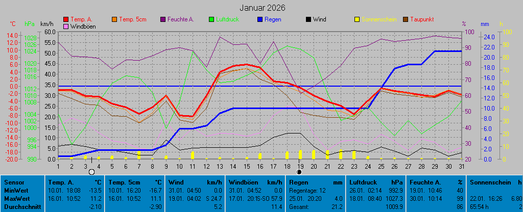 Grafik Monat Januar 2026